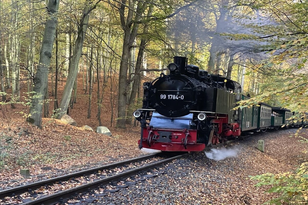 490885 - Nicht zugeordnet