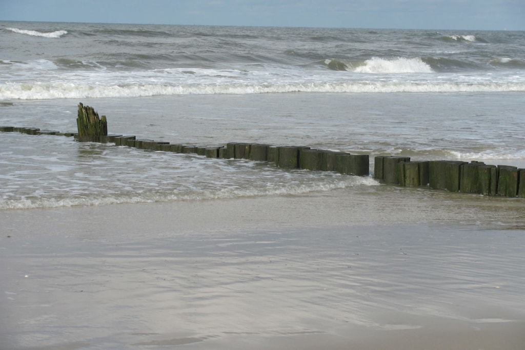 226513 - Niet-getagd
