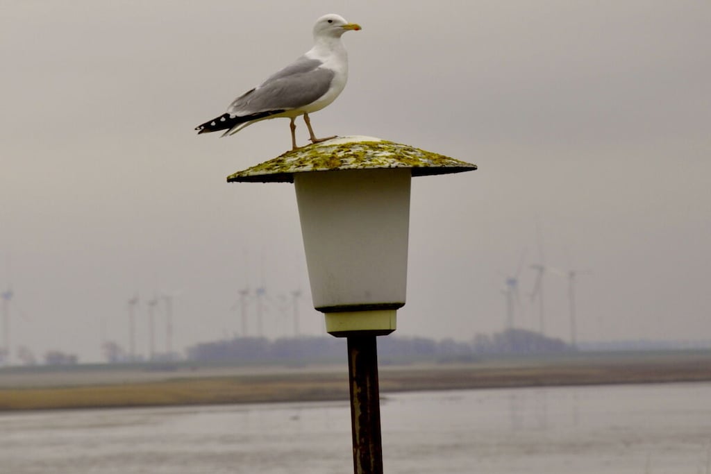 389792 - Niet-getagd
