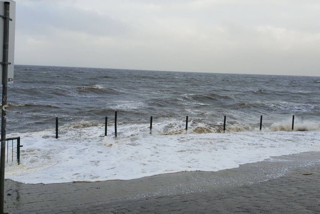 295144 - Niet-getagd