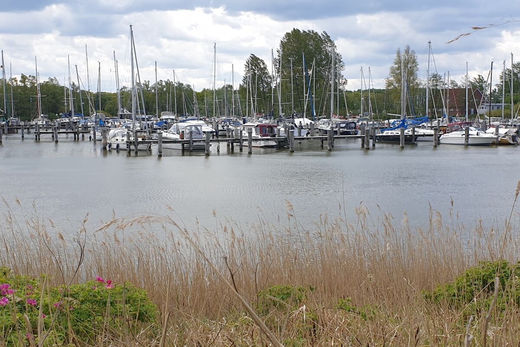 295144 - Niet-getagd