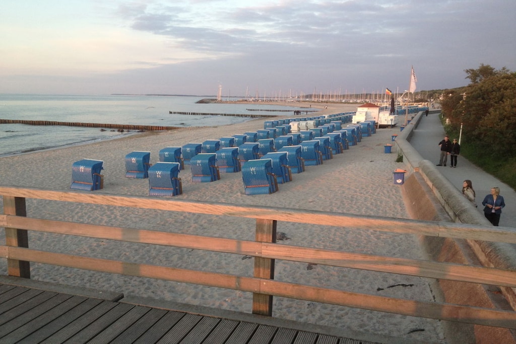 78431 - Niet-getagd