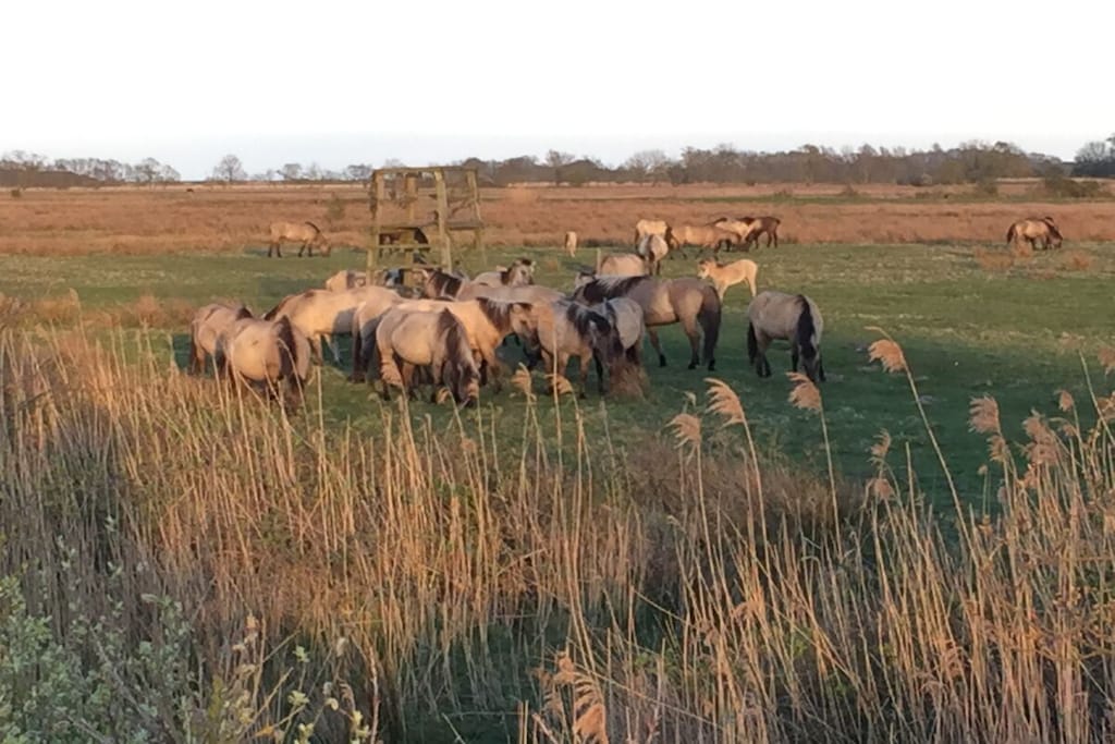 206122 - Niet-getagd
