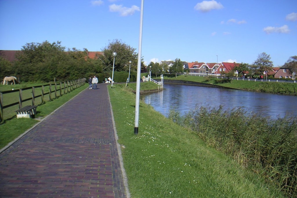 41666 - Niet-getagd