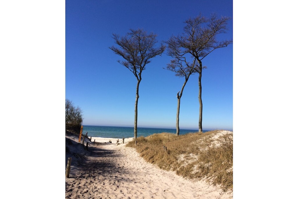 631504 - Niet-getagd