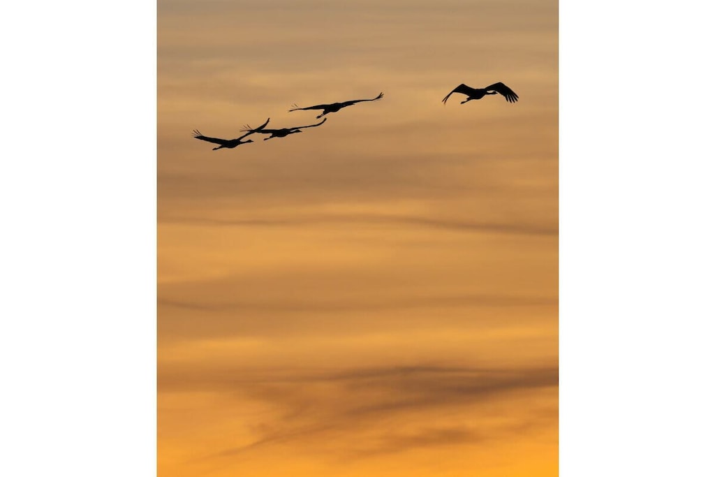 210209 - Niet-getagd