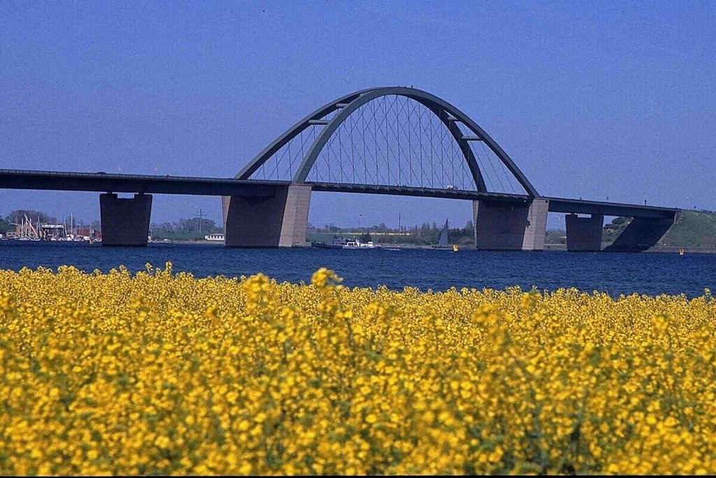 81715 - Nicht zugeordnet