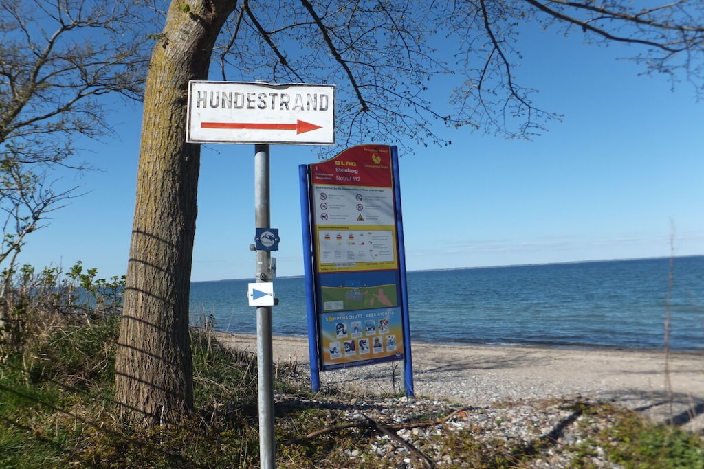 290748 - Niet-getagd