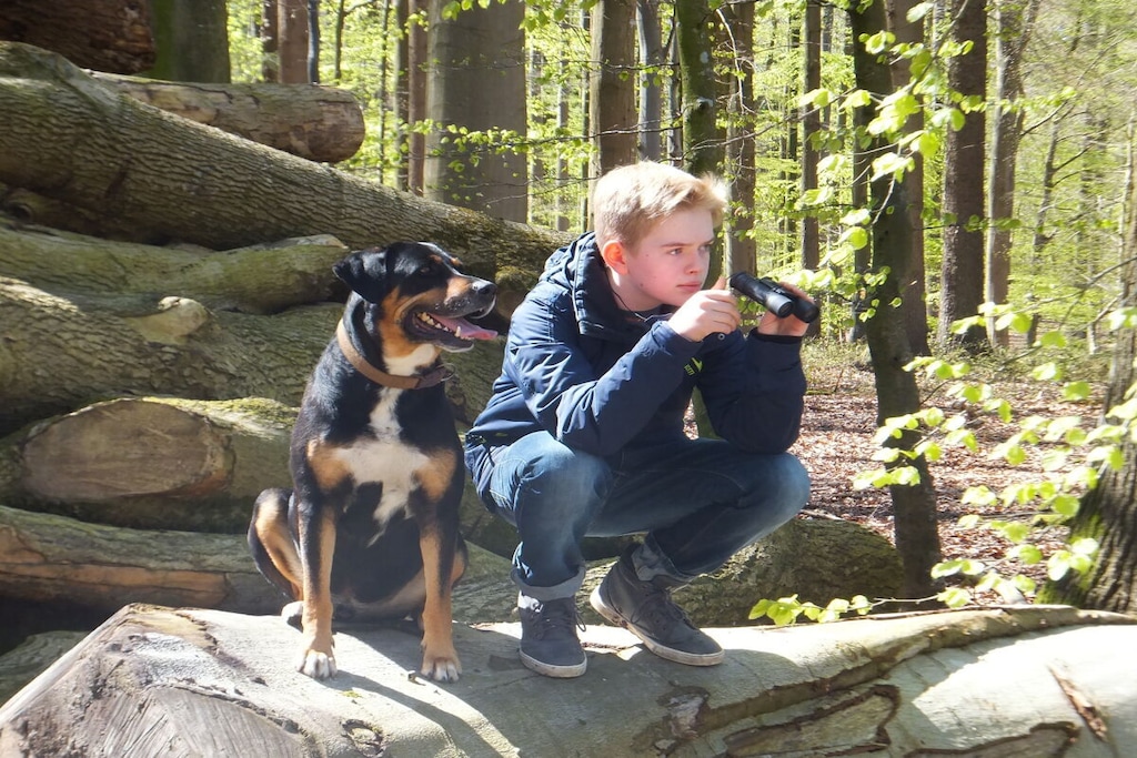 290748 - Niet-getagd