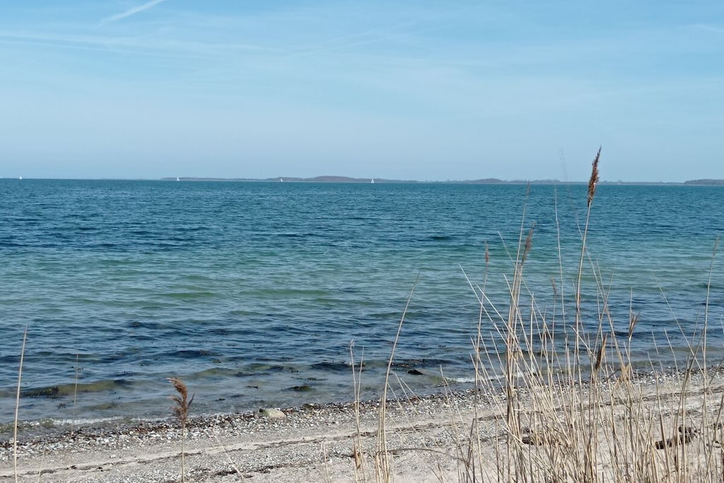 290748 - Niet-getagd