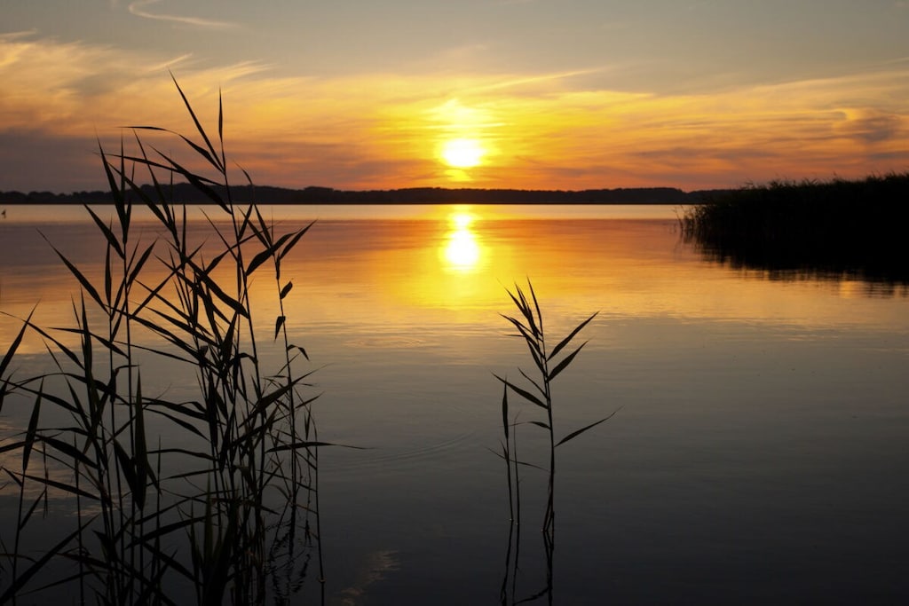 252072 - Niet-getagd