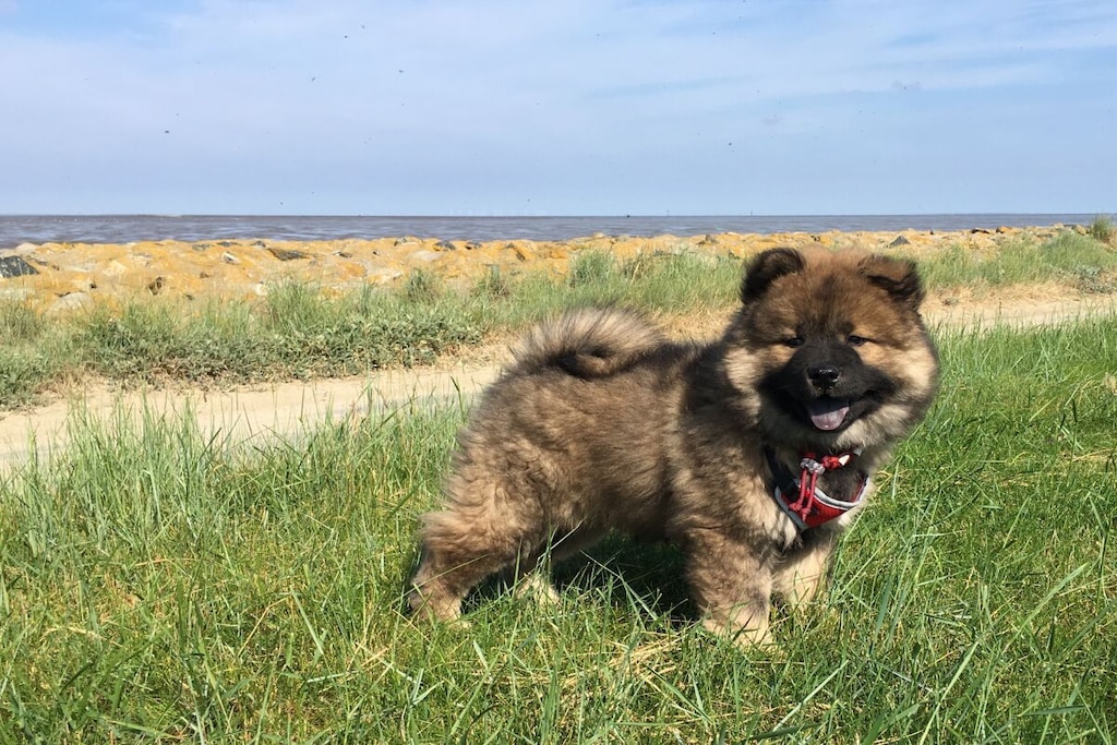 140013 - Nicht zugeordnet