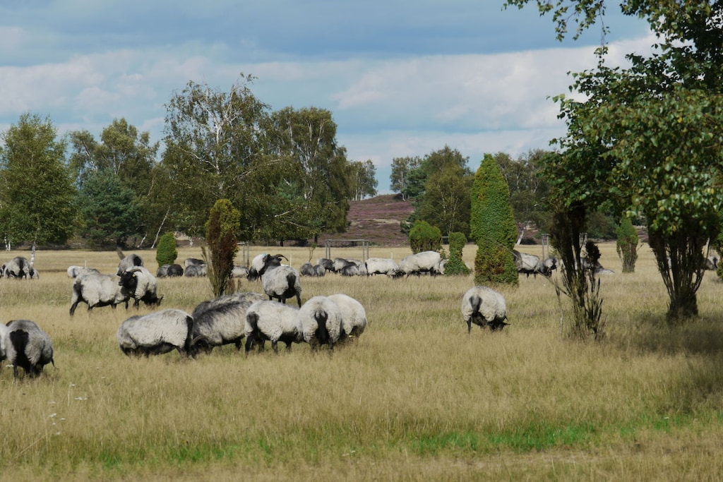54794 - Niet-getagd