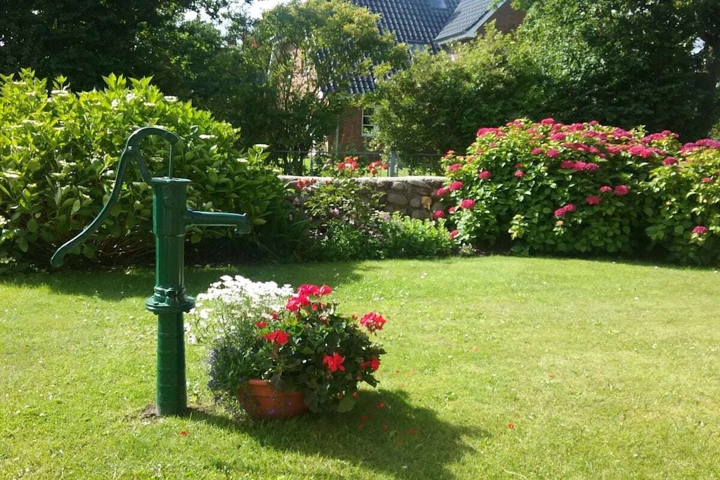 51737 - Niet-getagd