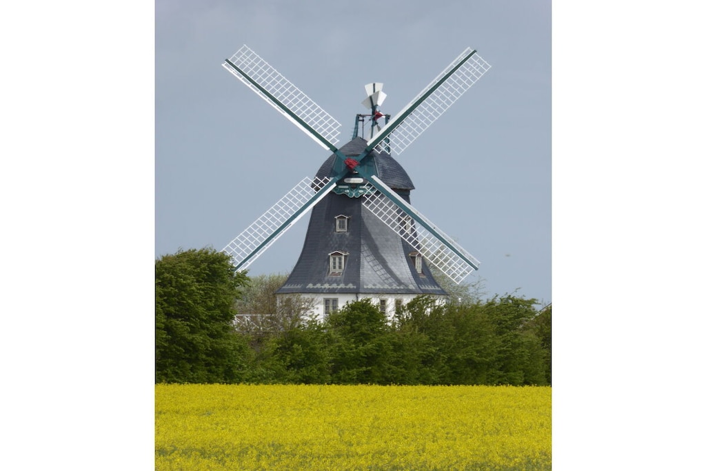 51737 - Niet-getagd