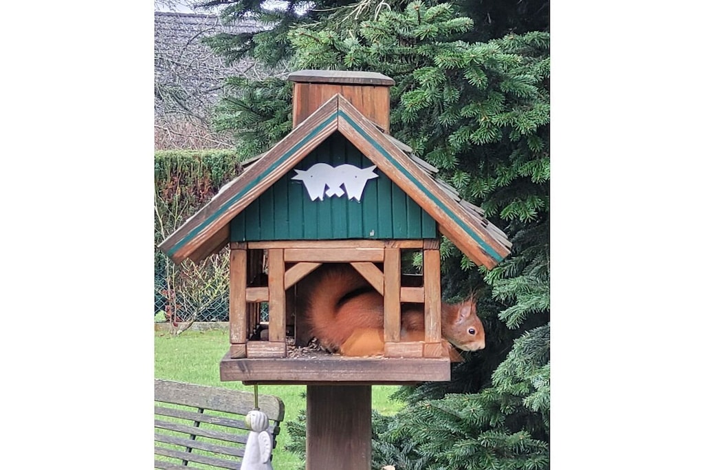 9884