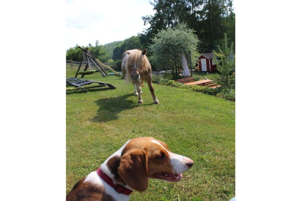 51747 - Niet-getagd