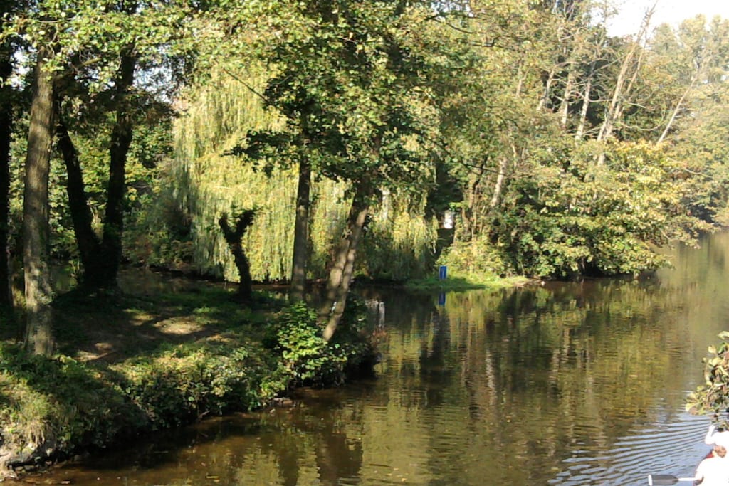 80250 - Niet-getagd