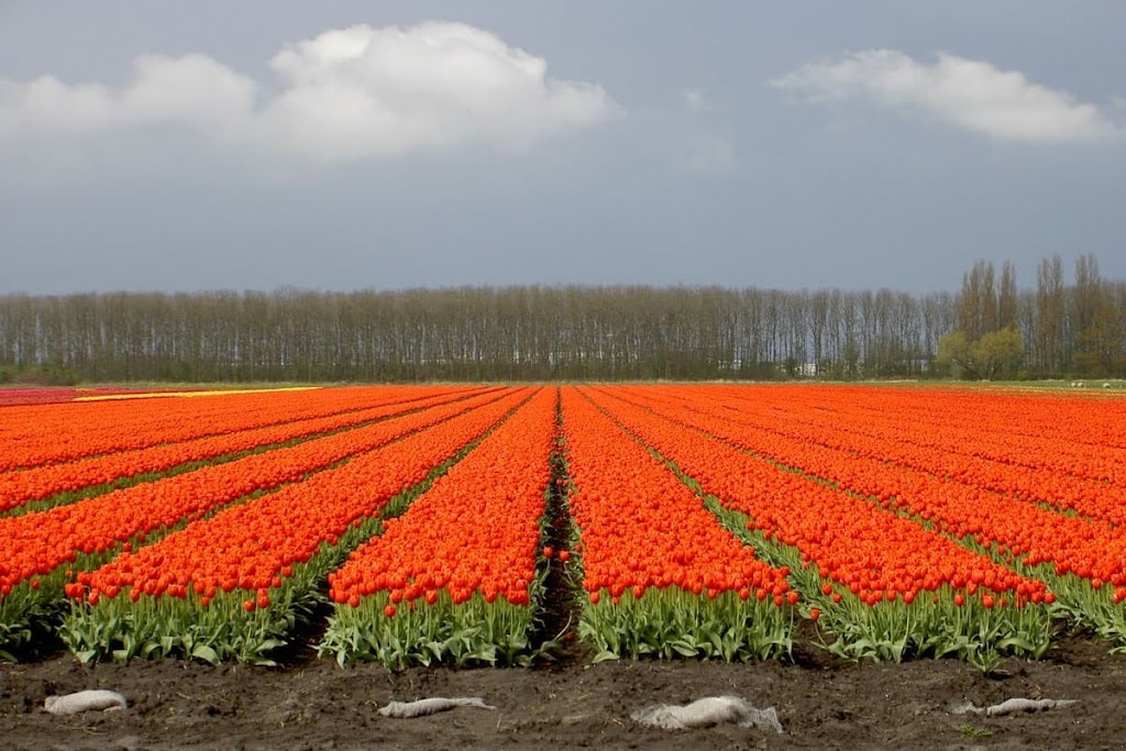 190508 - Niet-getagd
