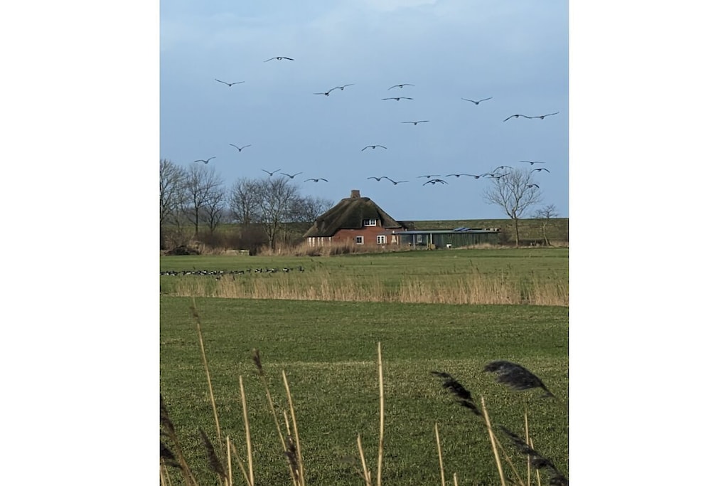 489134 - Niet-getagd