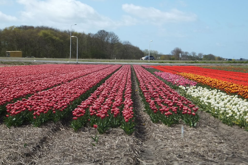 228058 - Niet-getagd