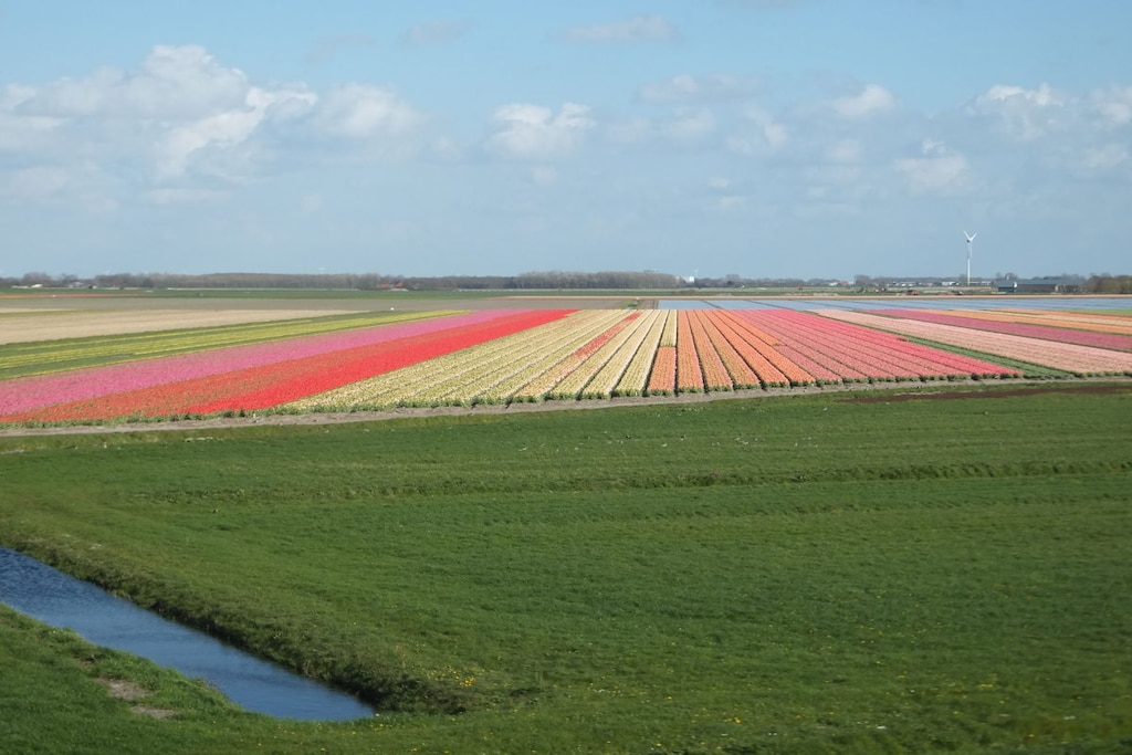 228058 - Niet-getagd