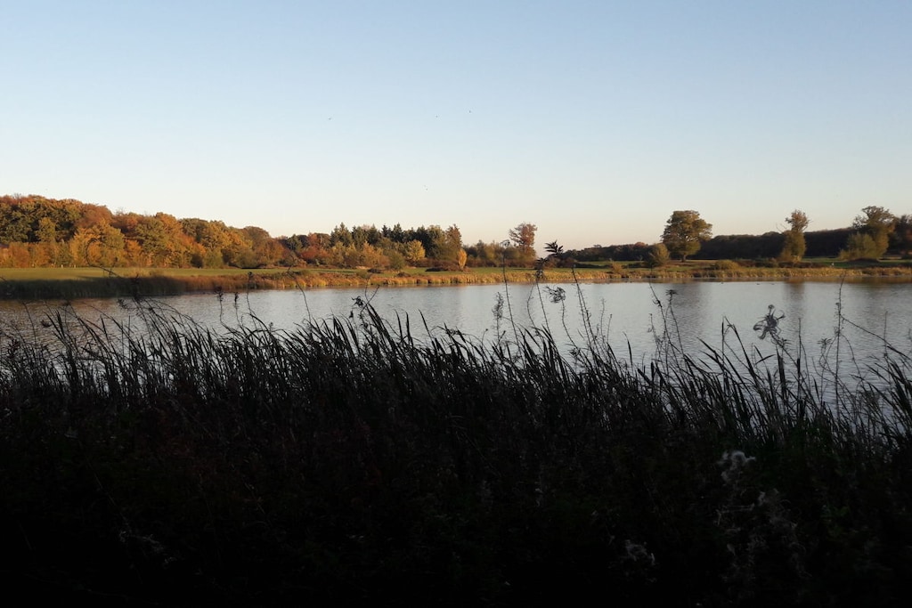 81404 - Niet-getagd