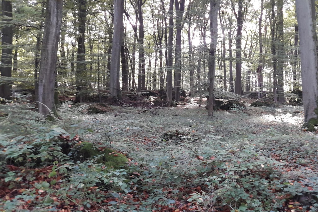 81404 - Niet-getagd