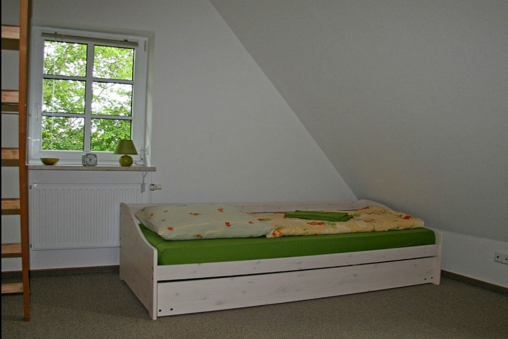 59559 - Niet-getagd