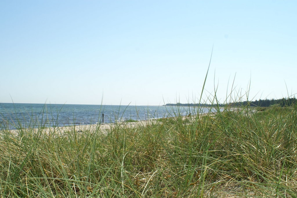 106795 - Niet-getagd