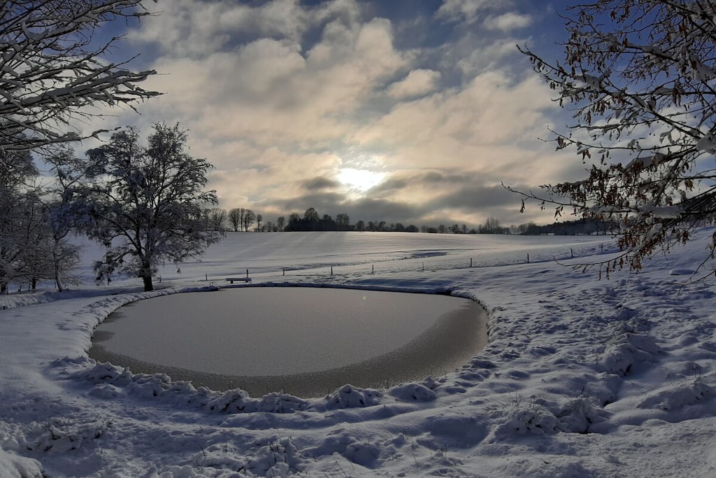 51690 - Non tagué