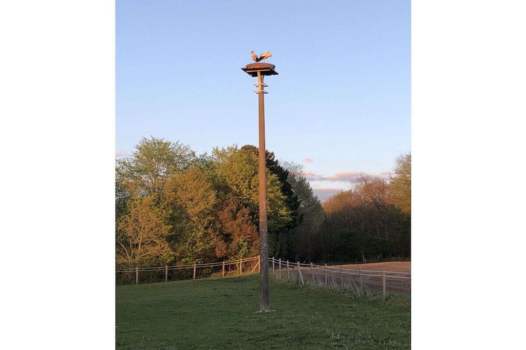 104985 - Niet-getagd