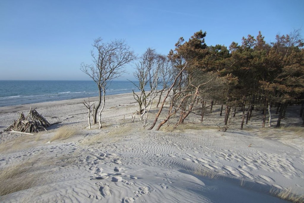 135560 - Niet-getagd