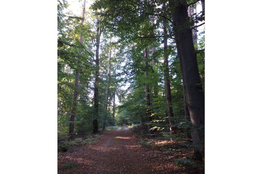 261038 - Untagged
