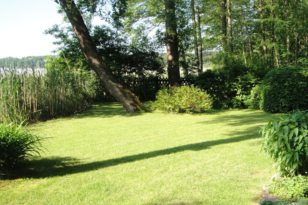 66742 - Non tagué