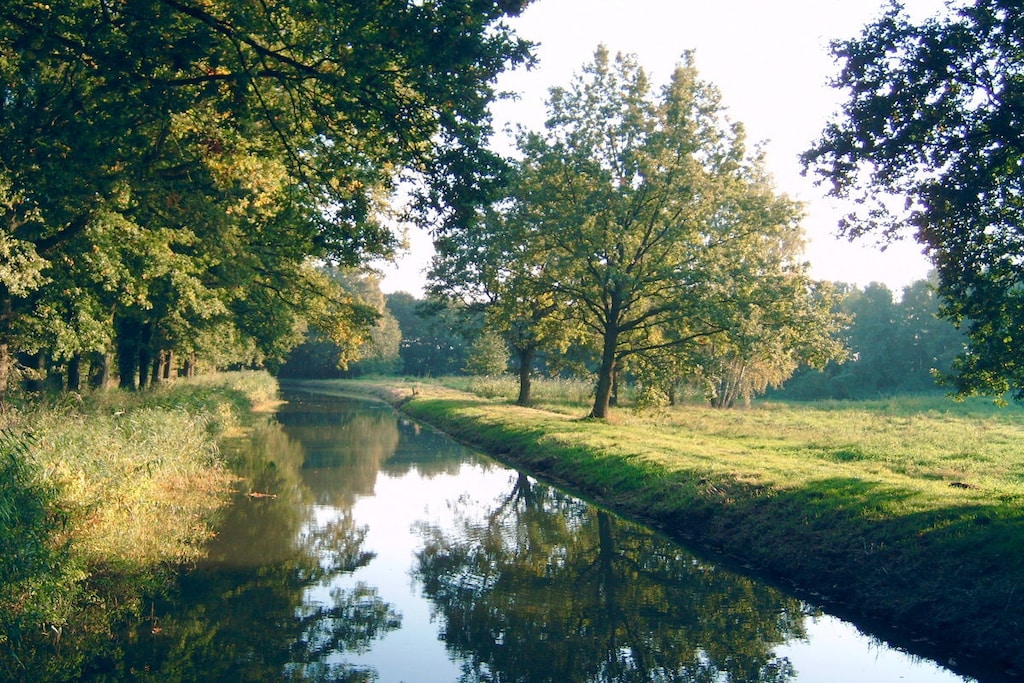 86478 - Niet-getagd