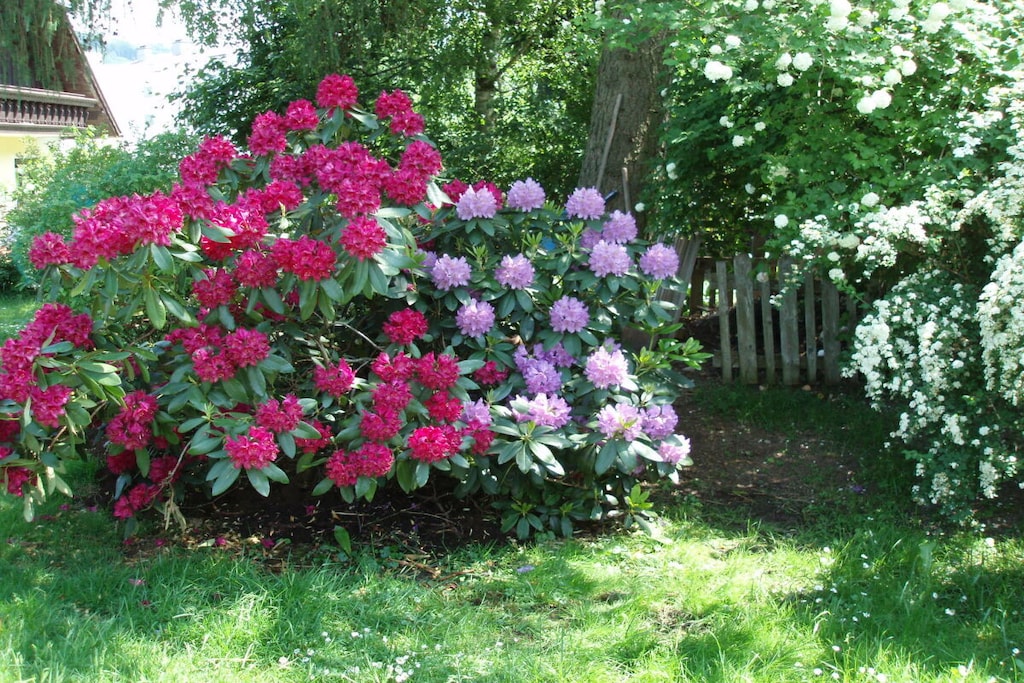 186474 - Nicht zugeordnet