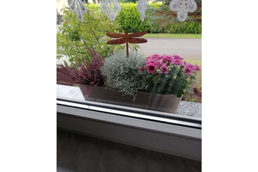 389892 - Niet-getagd