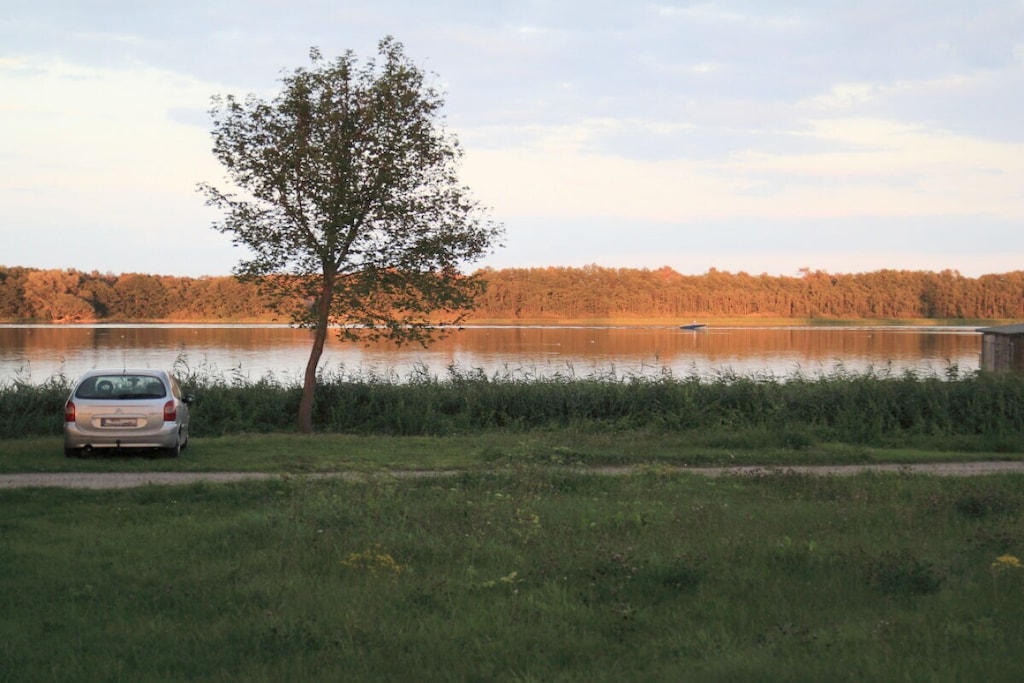 59581 - Niet-getagd