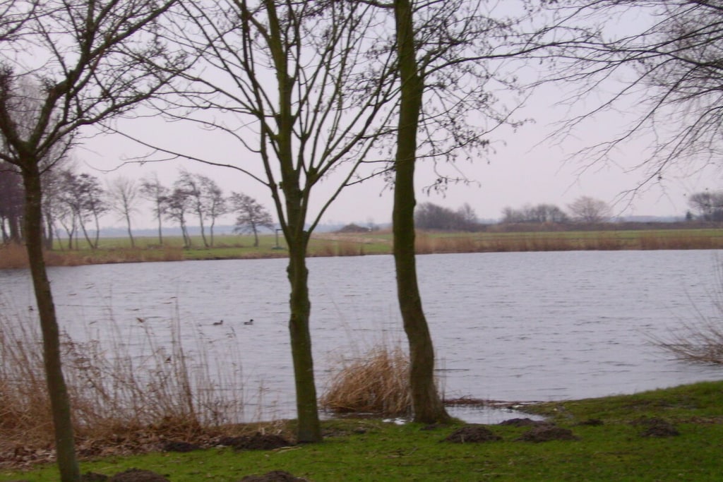 41005 - Niet-getagd