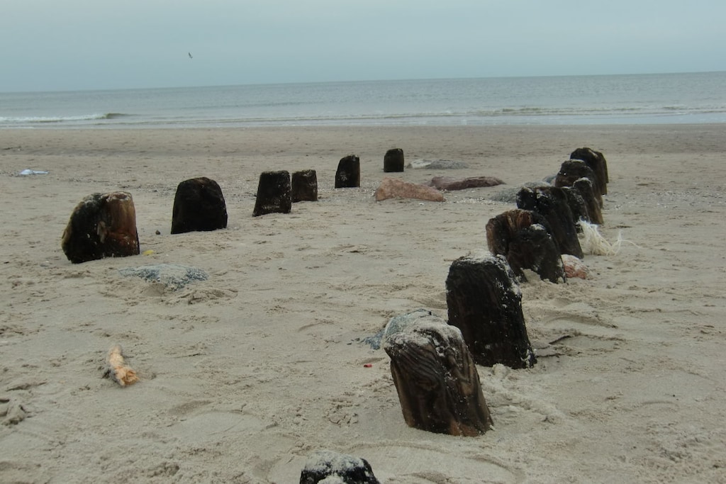 61075 - Niet-getagd