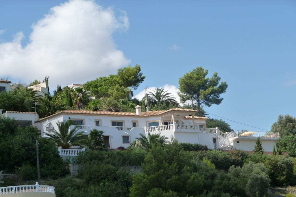 43023