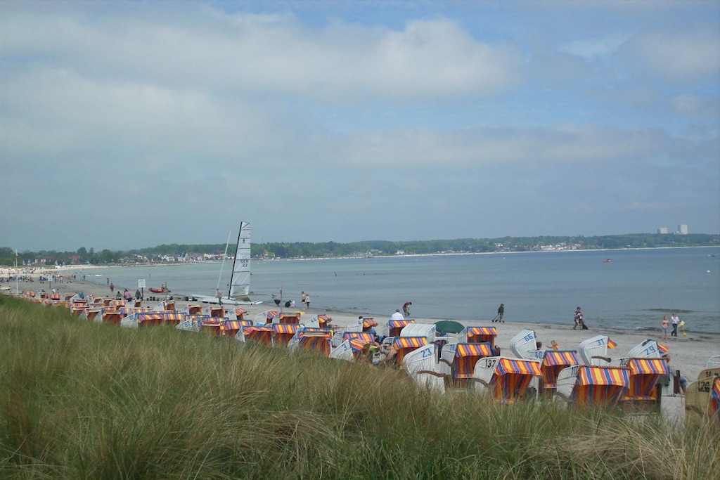 53560 - Niet-getagd