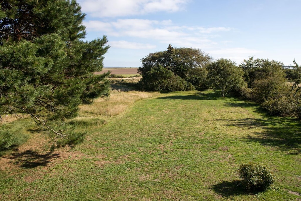 314104 - Niet-getagd