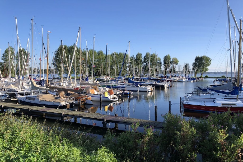 491331 - Niet-getagd