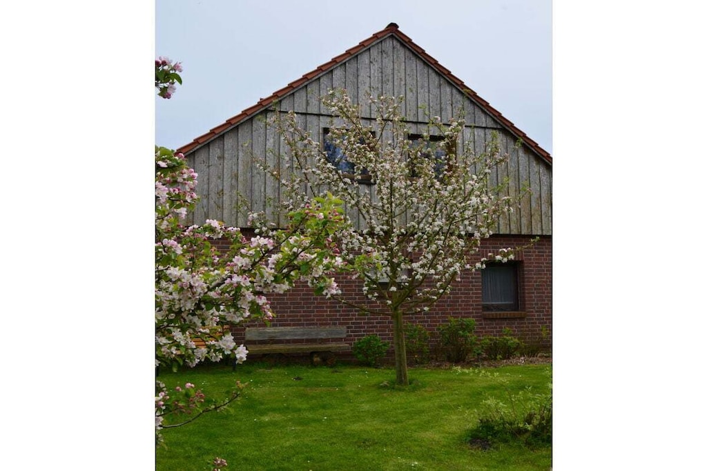 264002 - Niet-getagd