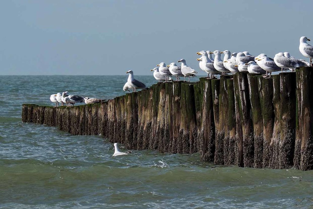 134383 - Niet-getagd