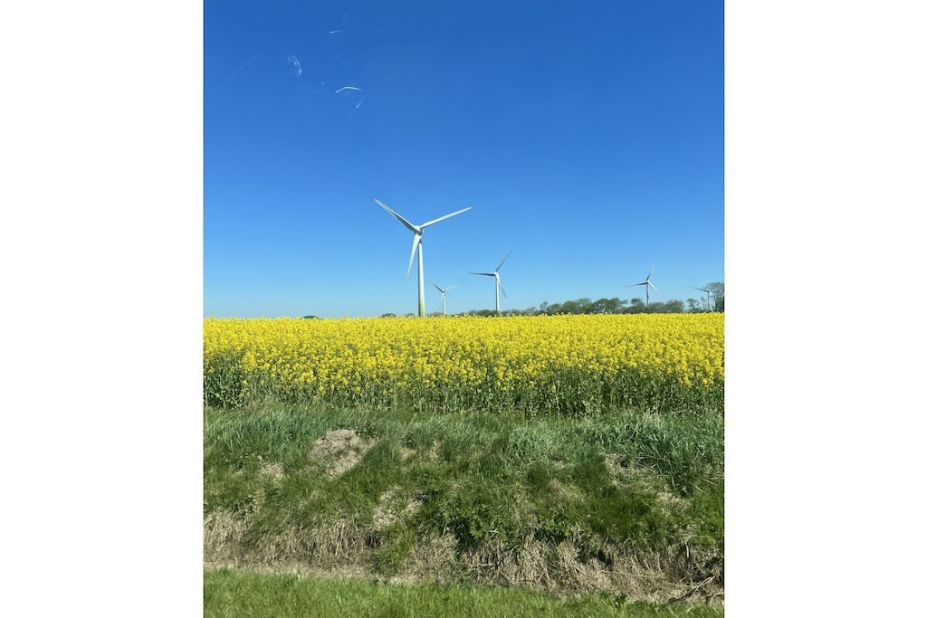803576 - Niet-getagd