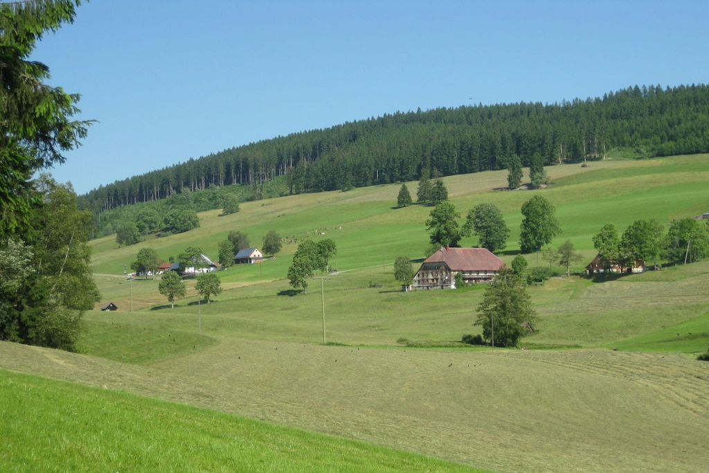 56425 - Non tagué