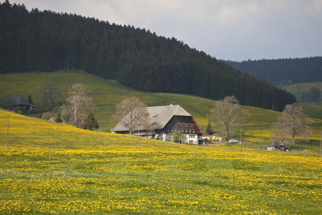 148660 - Nicht zugeordnet